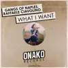 Gangs of Naples & Raffaele Ciavolino - What I Want - Single